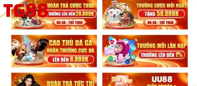 Tại đây cập nhật các tin tức về các ưu đãi và khuyến mãi mới nhất